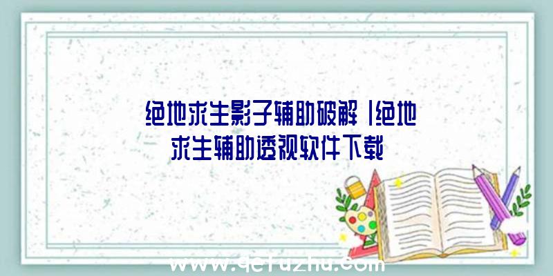 「绝地求生影子辅助破解」|绝地求生辅助透视软件下载